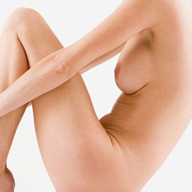 cc_kat_body